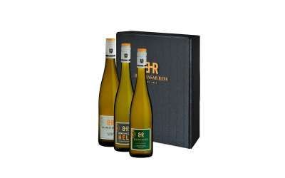 OMA-ROSI-BUSINESS-DANKESCHÖN-GALERIE-2