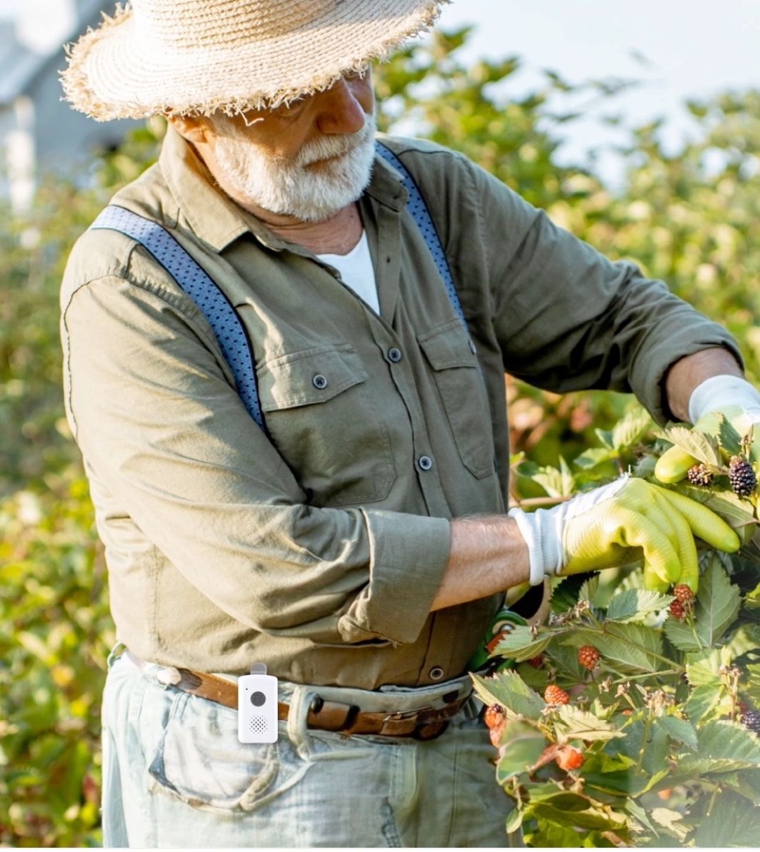 Vitatel Sturzerkennung bei einem Sturz