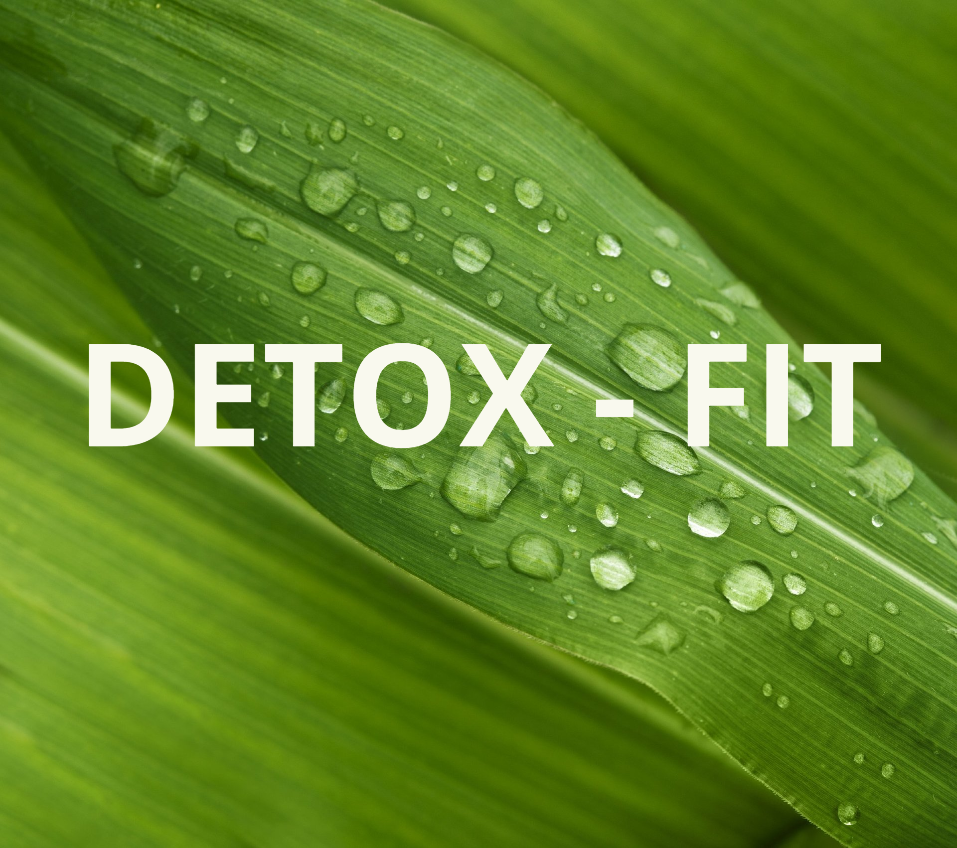 DETOX - FIT
