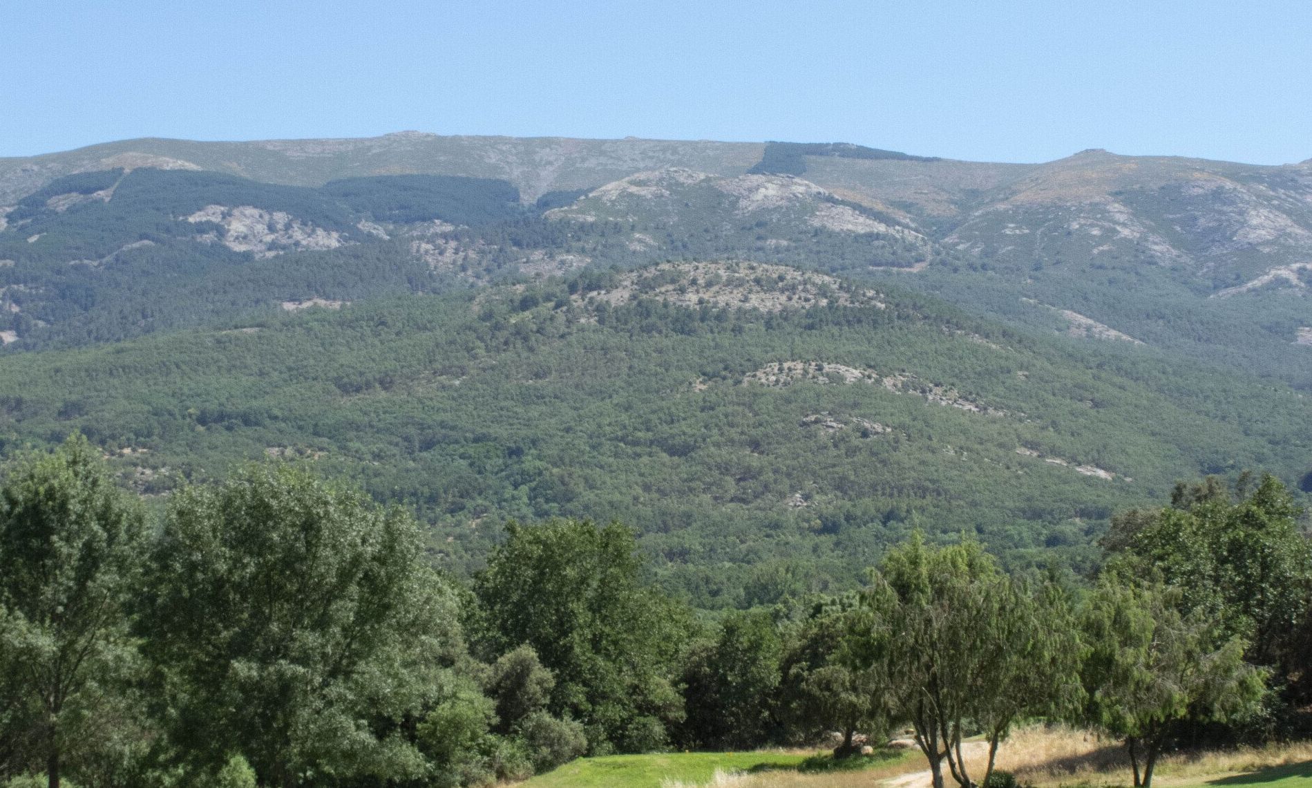 vistas campo de gold