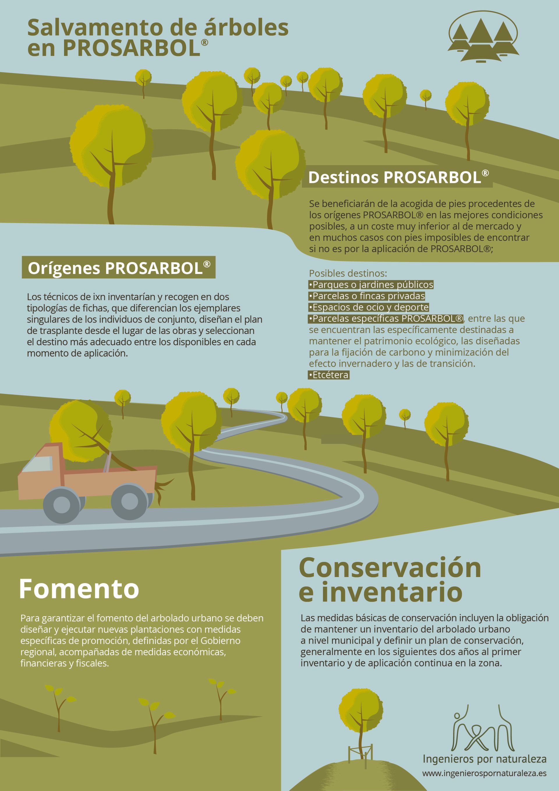Infografía Prosarbol