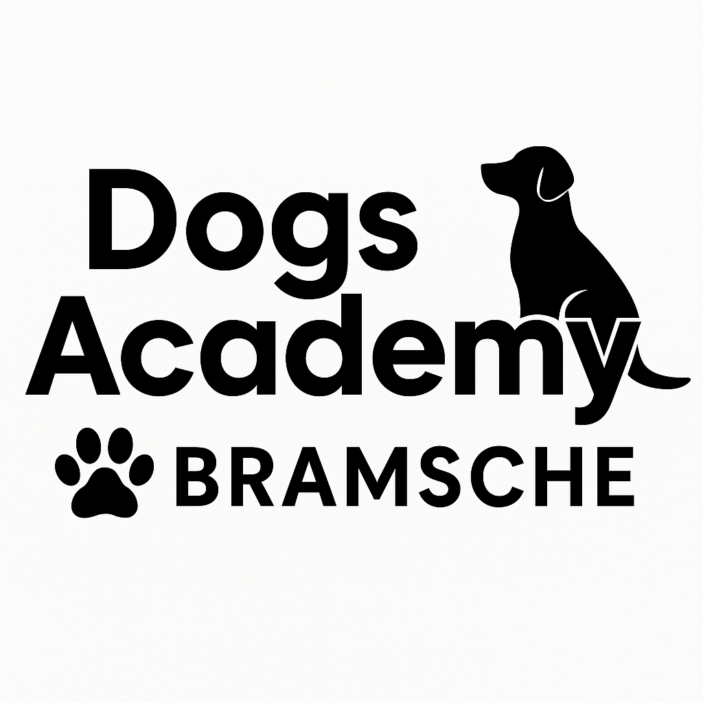 Dogs Academy, Ihre Hundeschule für professionelles Training Hundeschule Bramsche