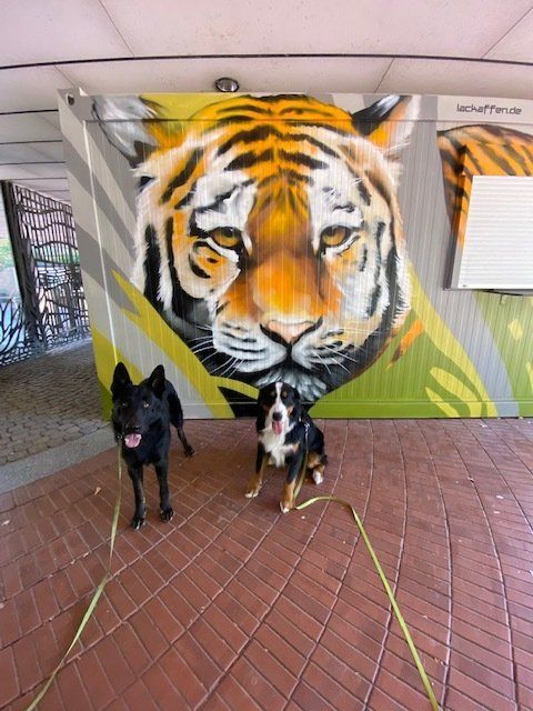 Dogs Academy meets Zoo Osnabrück Hundeschule Bramsche im Osnabrücker Zoo