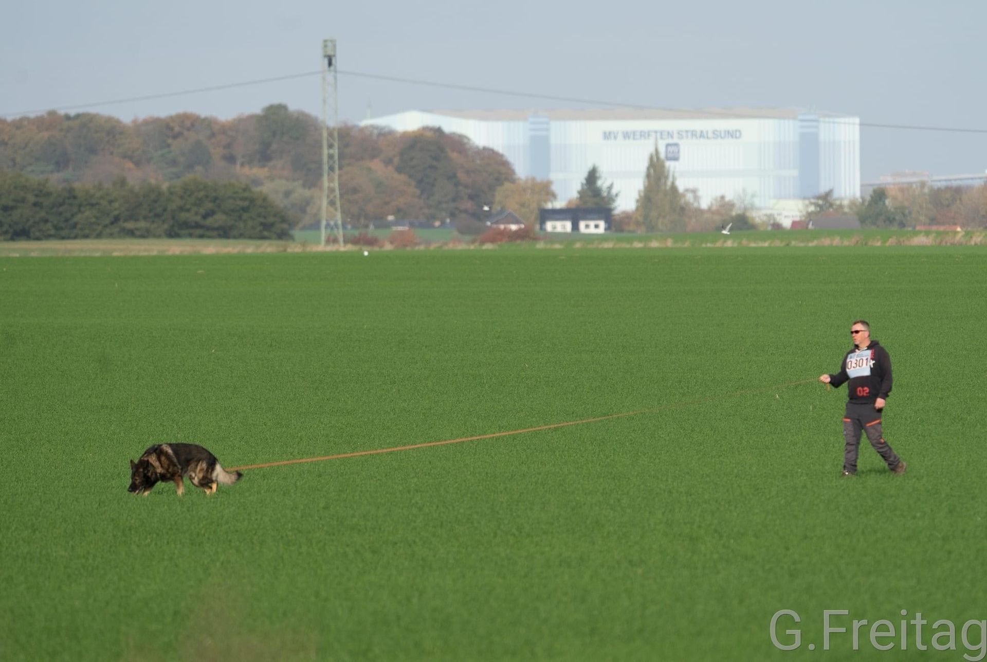 IPO/IGP in der Hundeschule Bramsche