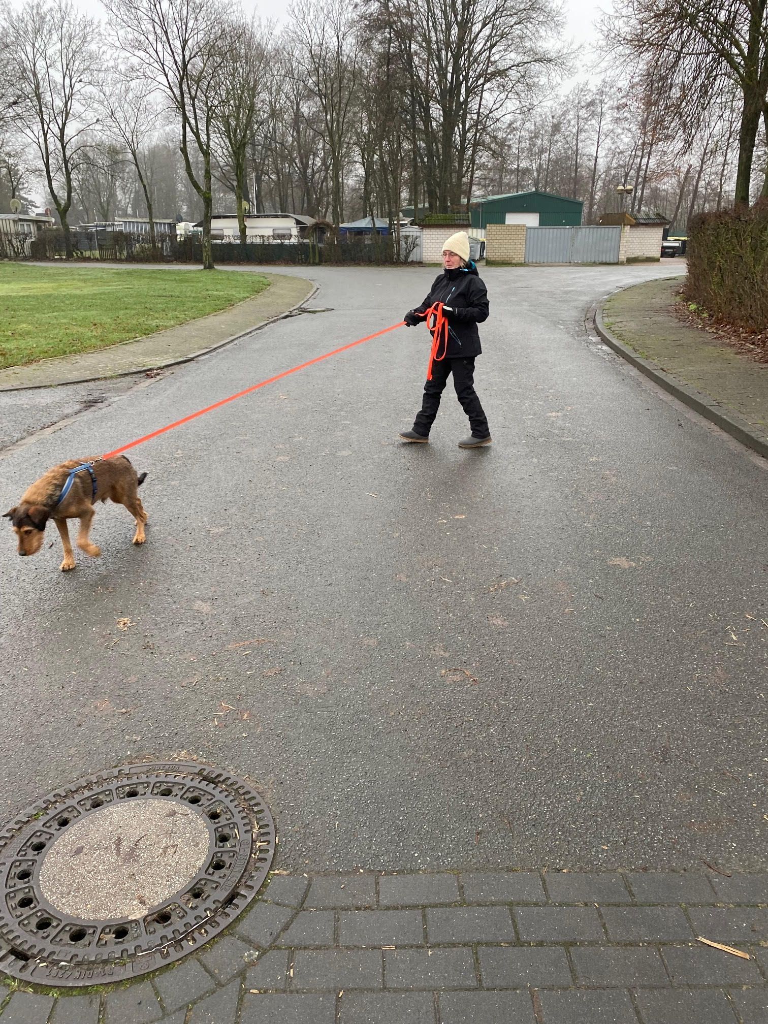 Von Rettungshunde, CC BY-SA 3.0, https://commons.wikimedia.org/w/index.php?curid=11911982 Man Trailing in der Hundeschule Bramsche