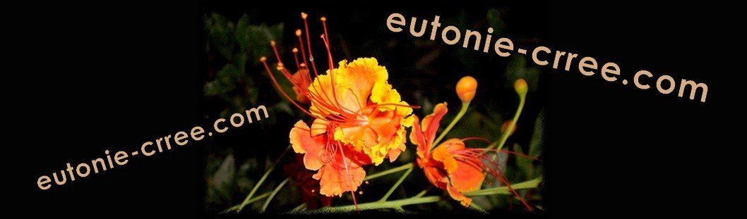 l'eutonie, c'est ici Eutonie CRREE