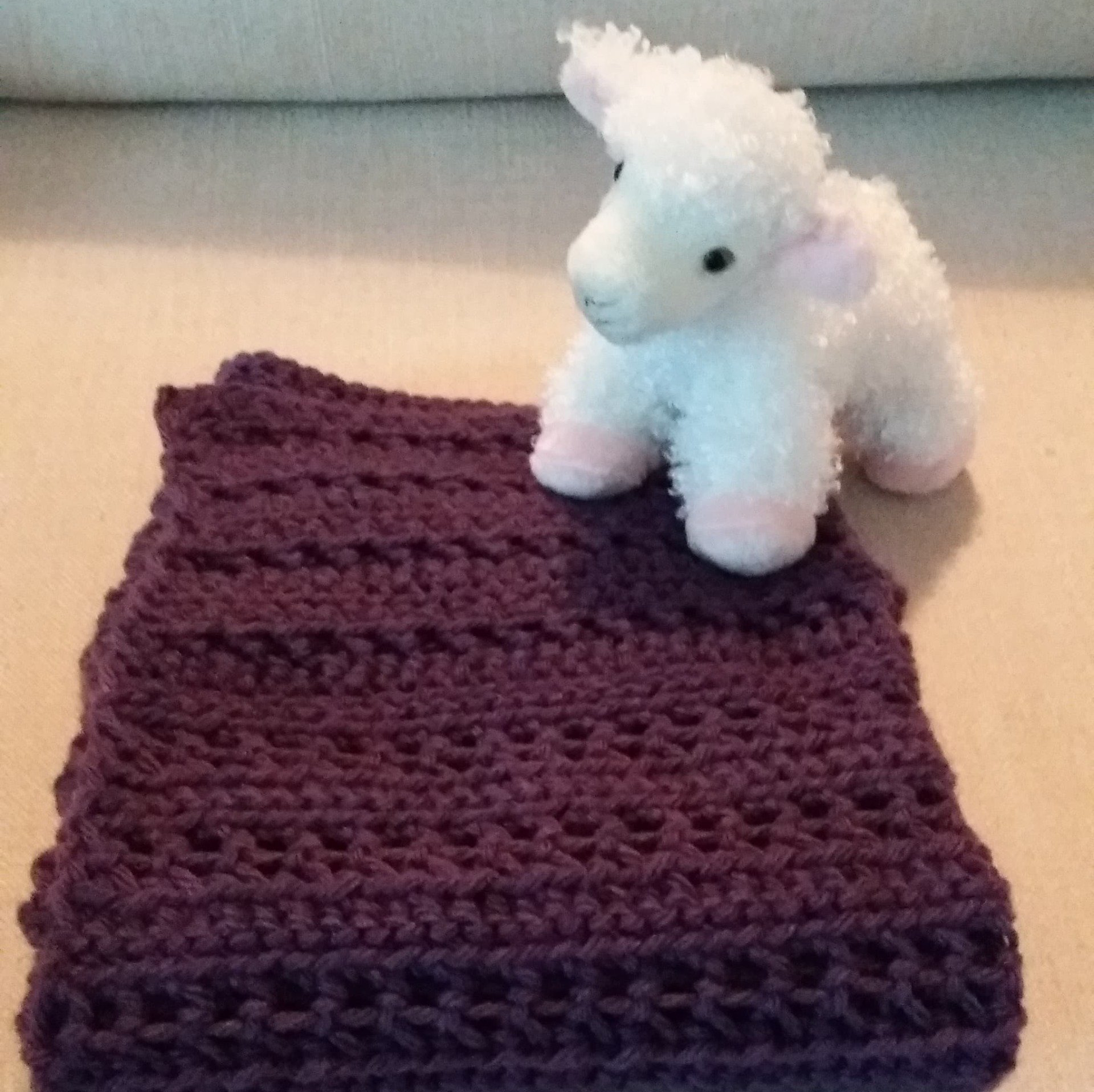 The blanket Rebecca crocheted for Bean and was excited for him to have