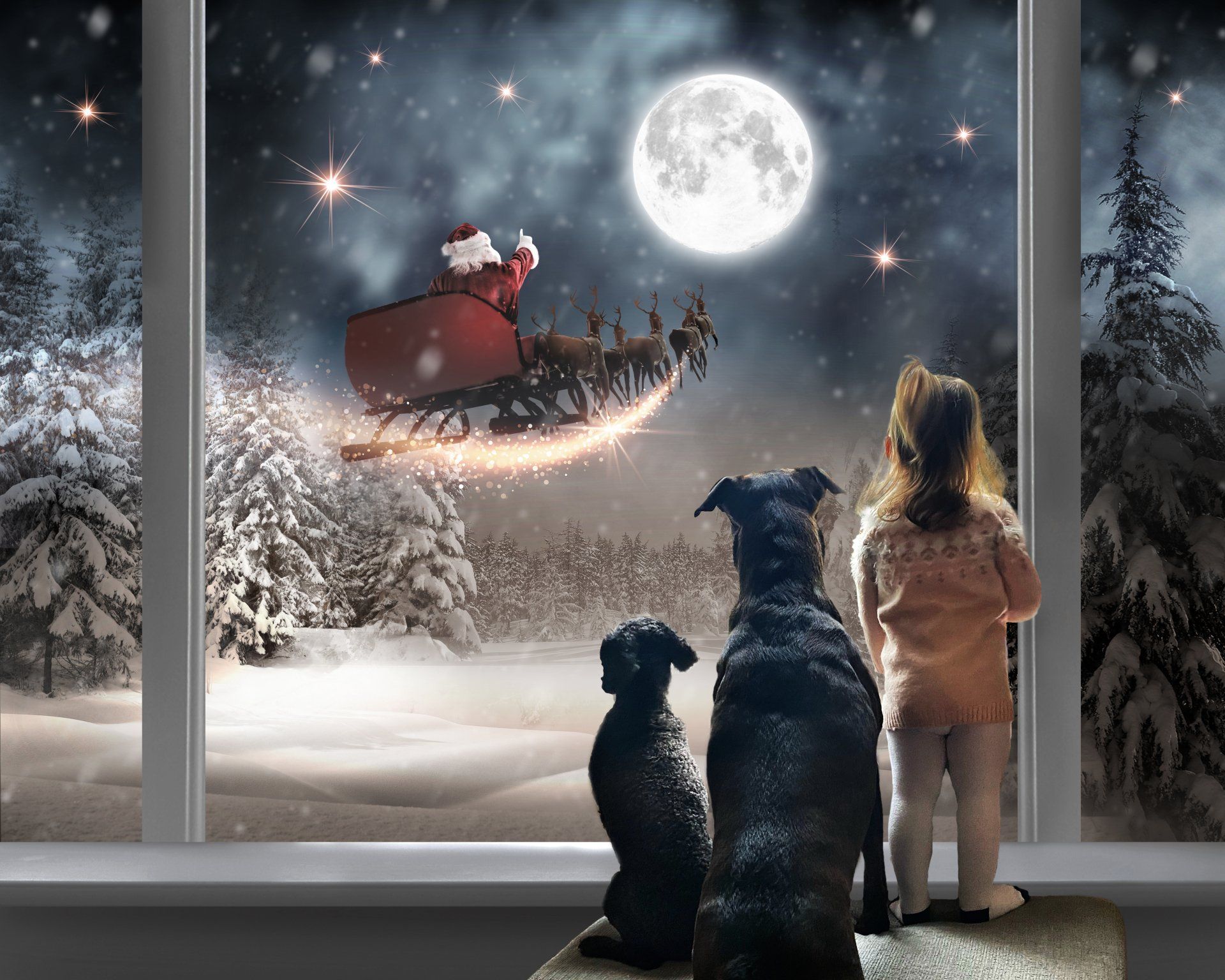 Young girl and dogs watching Santa on his sleigh with reindeer out of window.