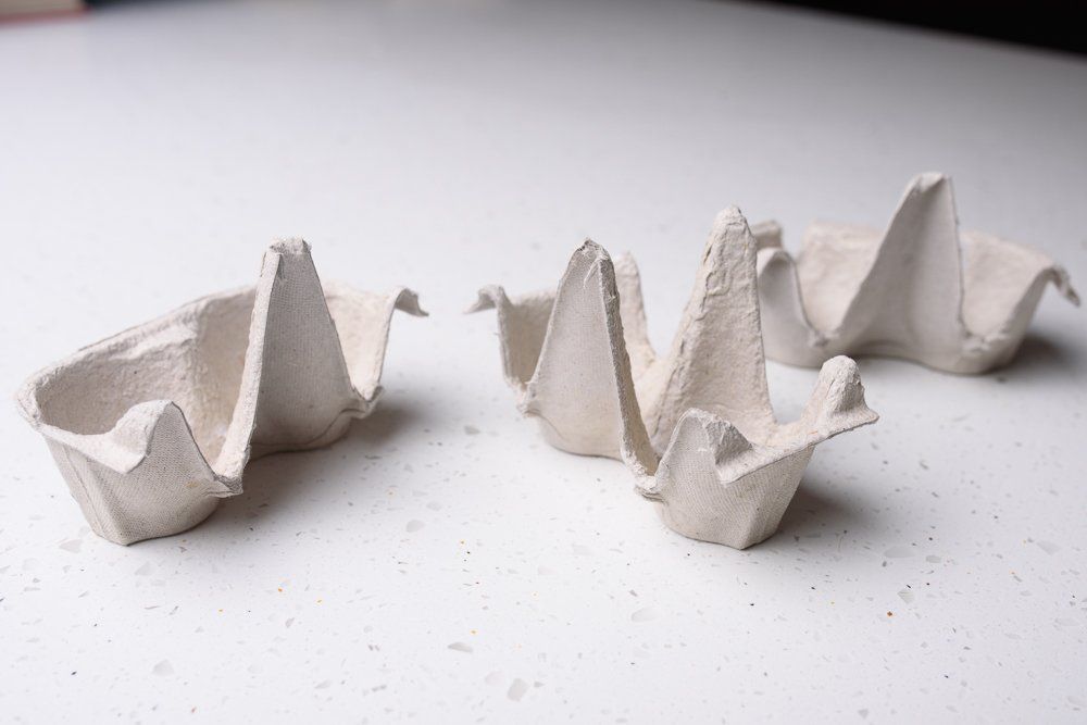 Egg box cut in thirds