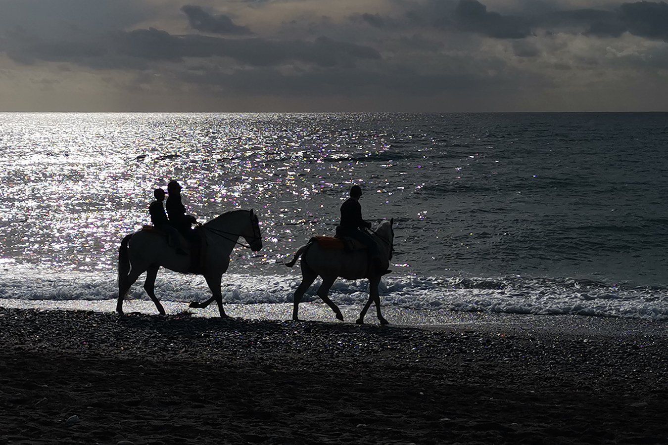Taking up new hobbies. Horse riding on the beach