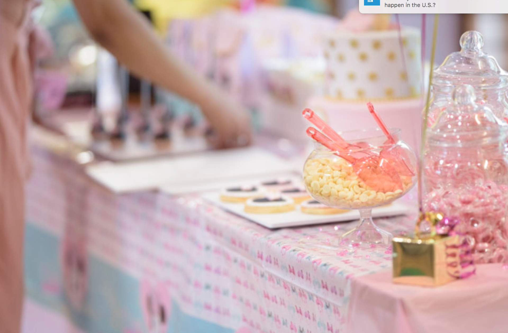 Party Planners personal brand photography