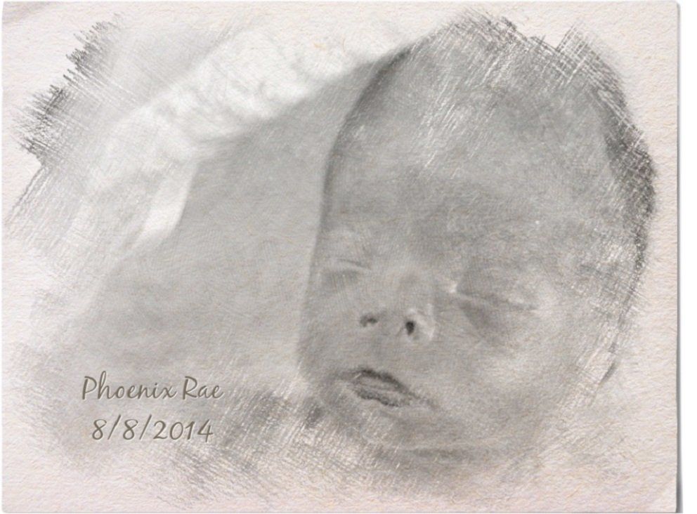Sketch of Phoenix