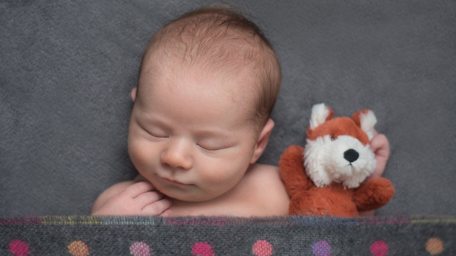 Newborn photoshoot baby on spotted blanket holding little fox toy