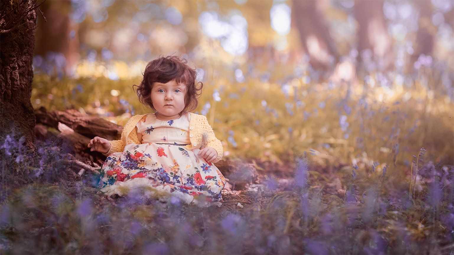 Toddler in beautiful flowery dress sitting in the bluebells for sitter photo session