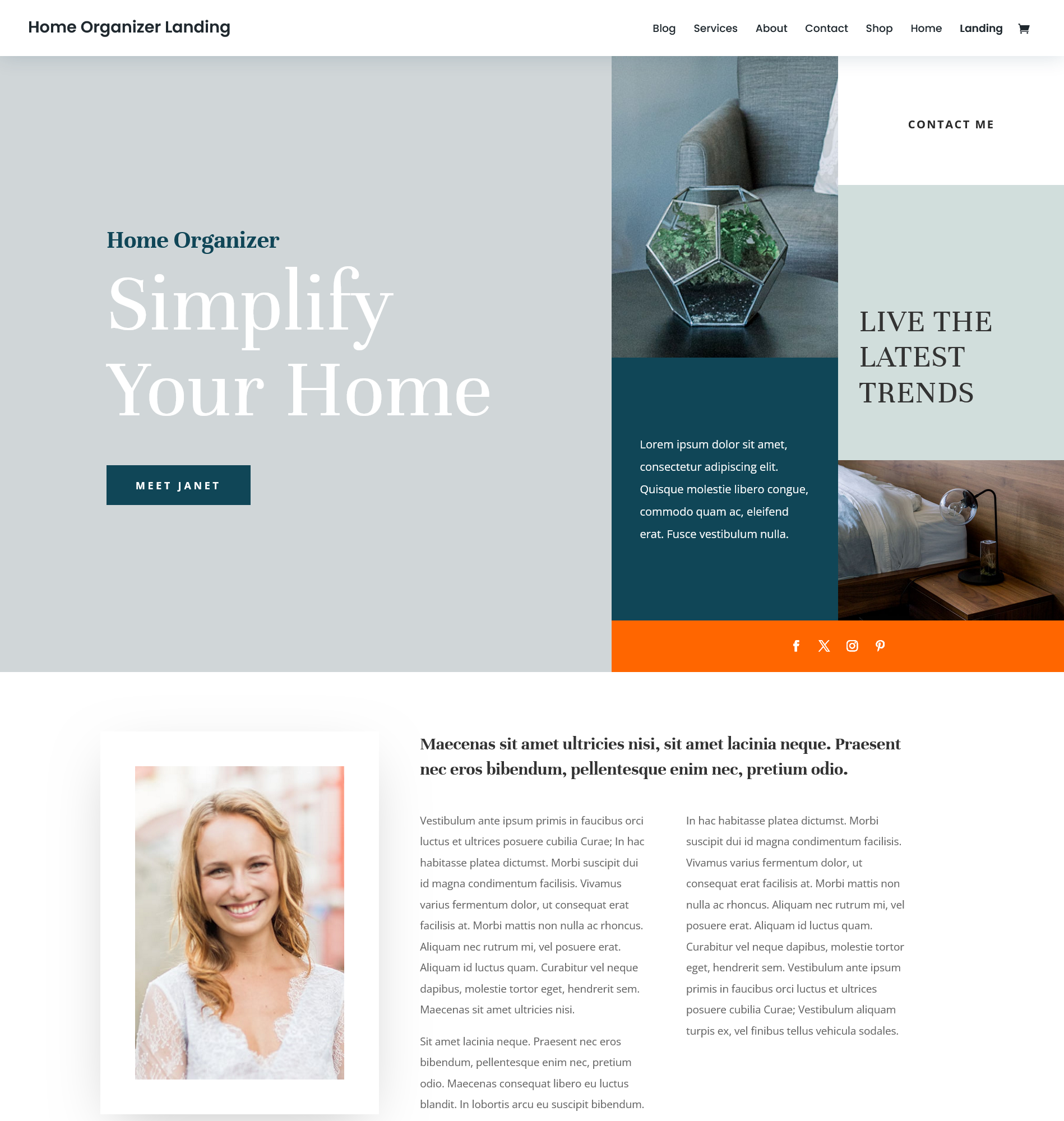 Home organization services website landing page sample photo