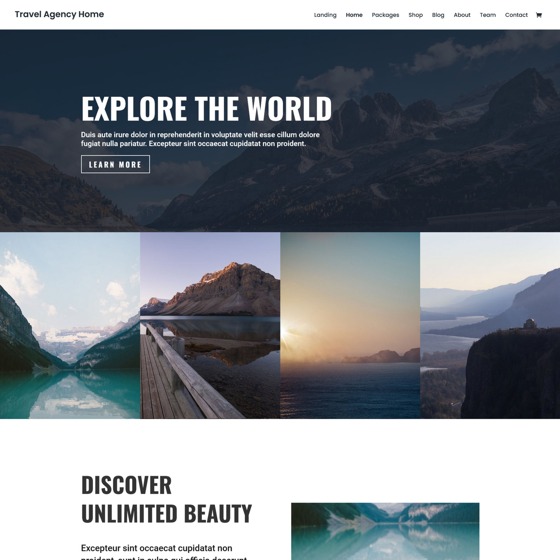 Travel services website landing page sample photo