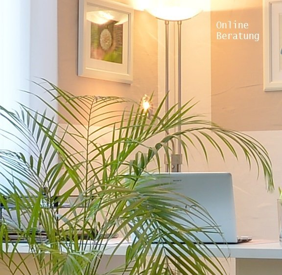Online Beratung