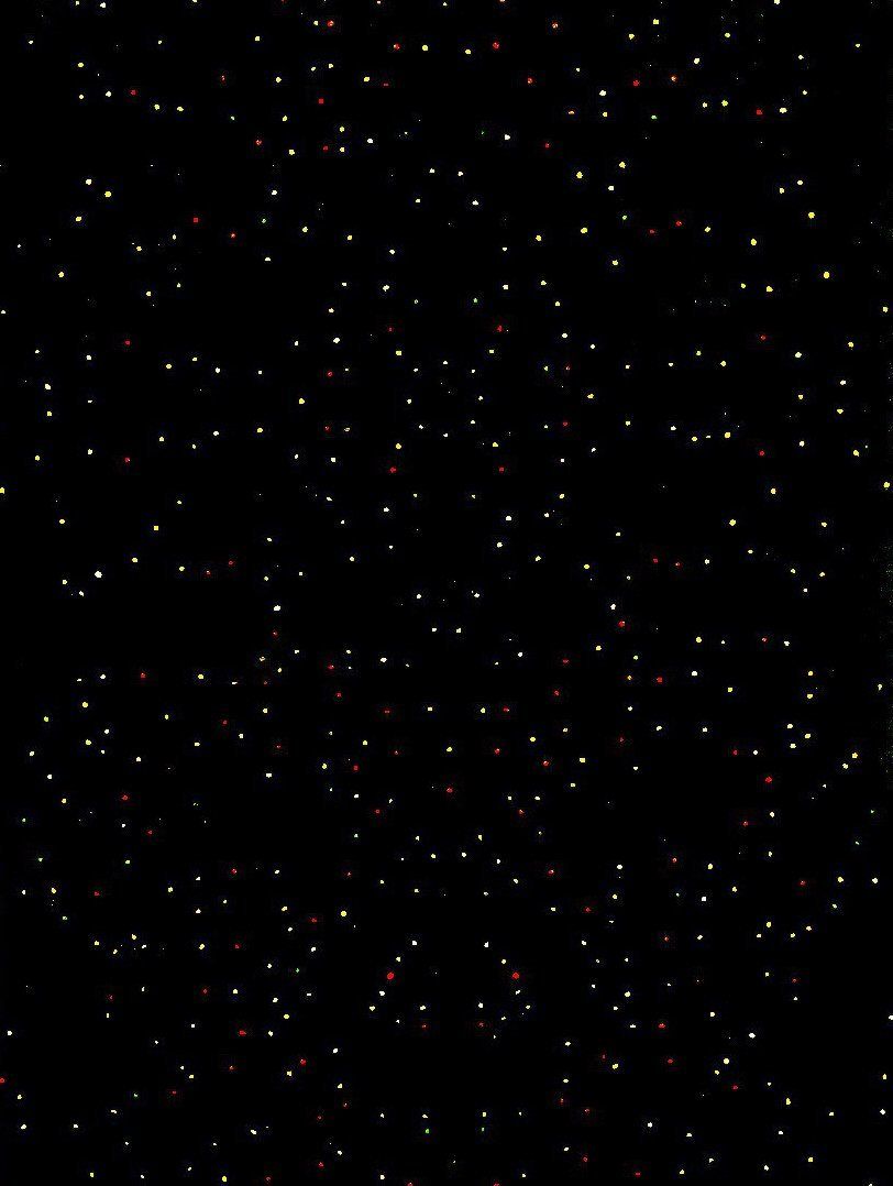 NACHT Acryl auf Baumwolle 160 x 120 cm 2009