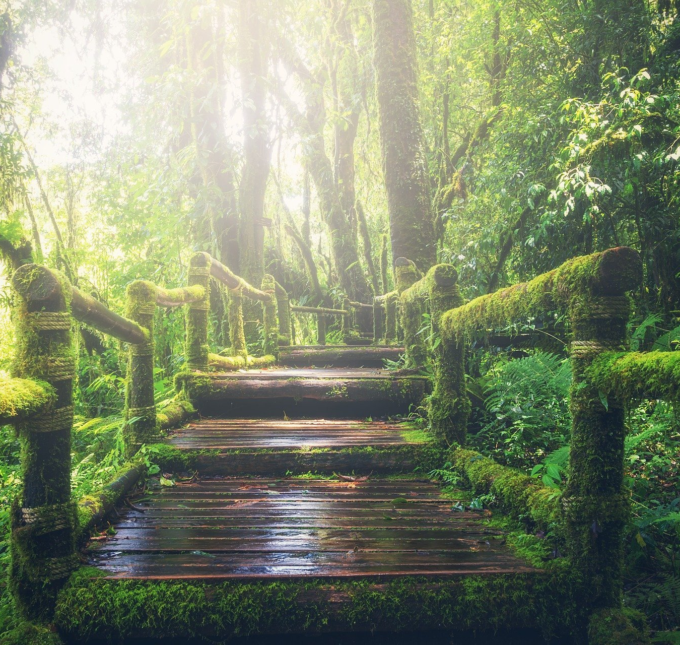 anxiete etape pour sortir du burn-out retour au travail equilibre vie professionnelle et personnelle