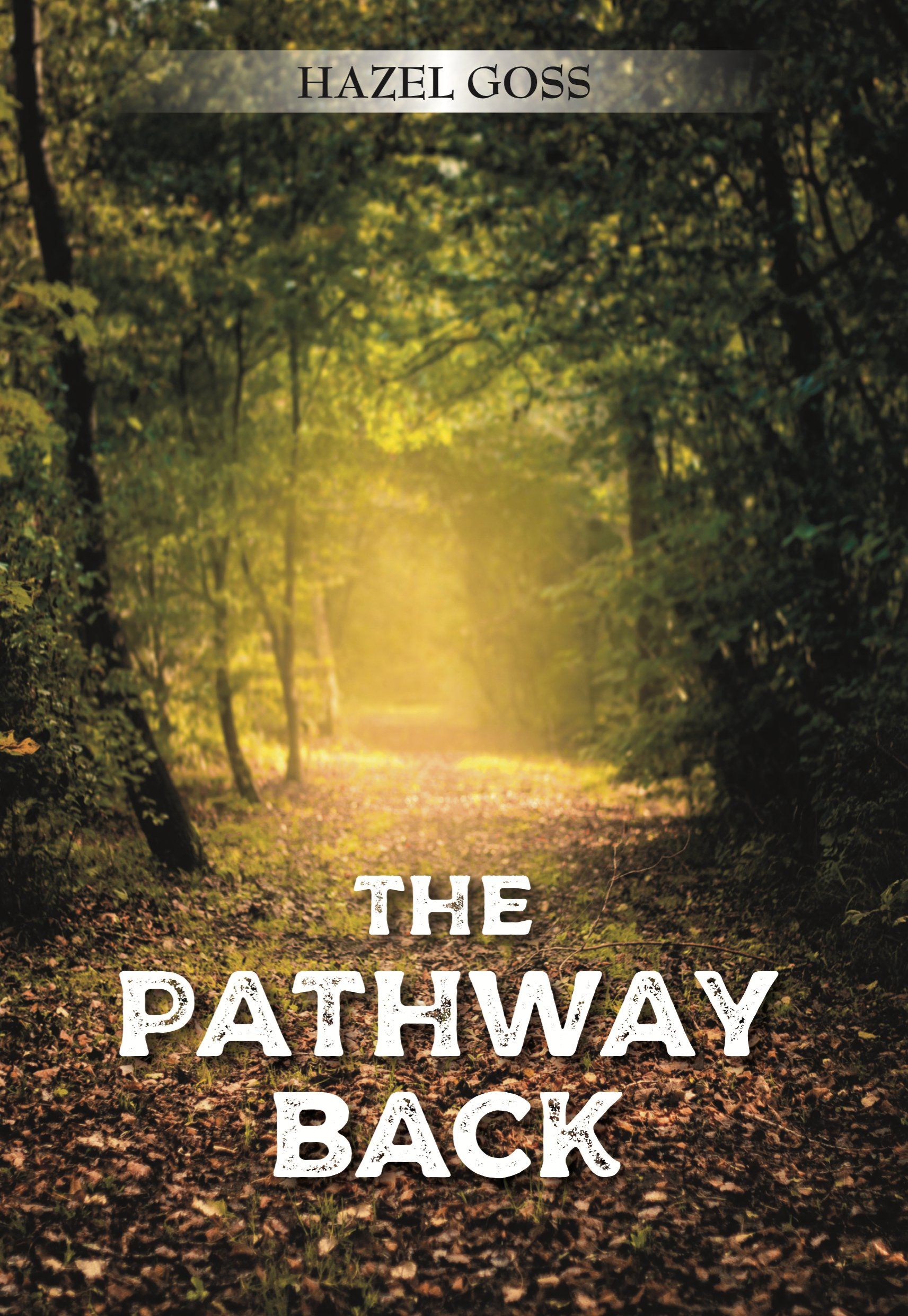 The Pathway Back by Hazel Goss Author