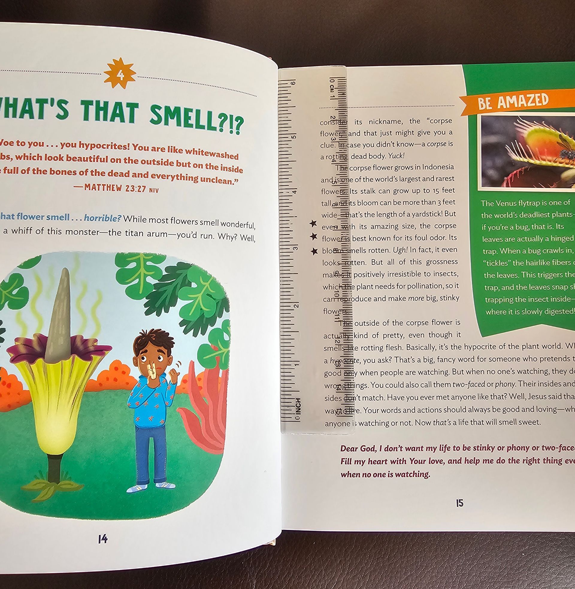 a pitice of the inside of the book. There is a ruler on the page for size context.