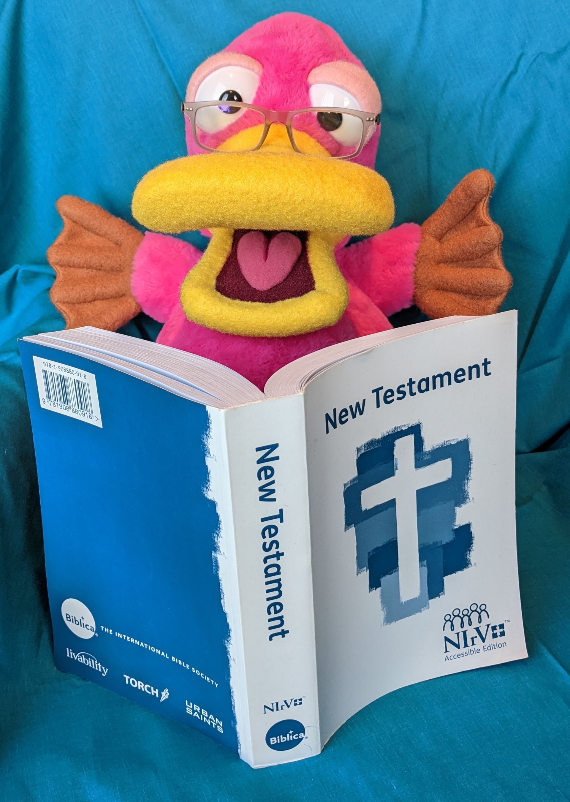 Theo the Pink Pondering Platypus puppet. He's wearing glasses and reading an accessible bible.