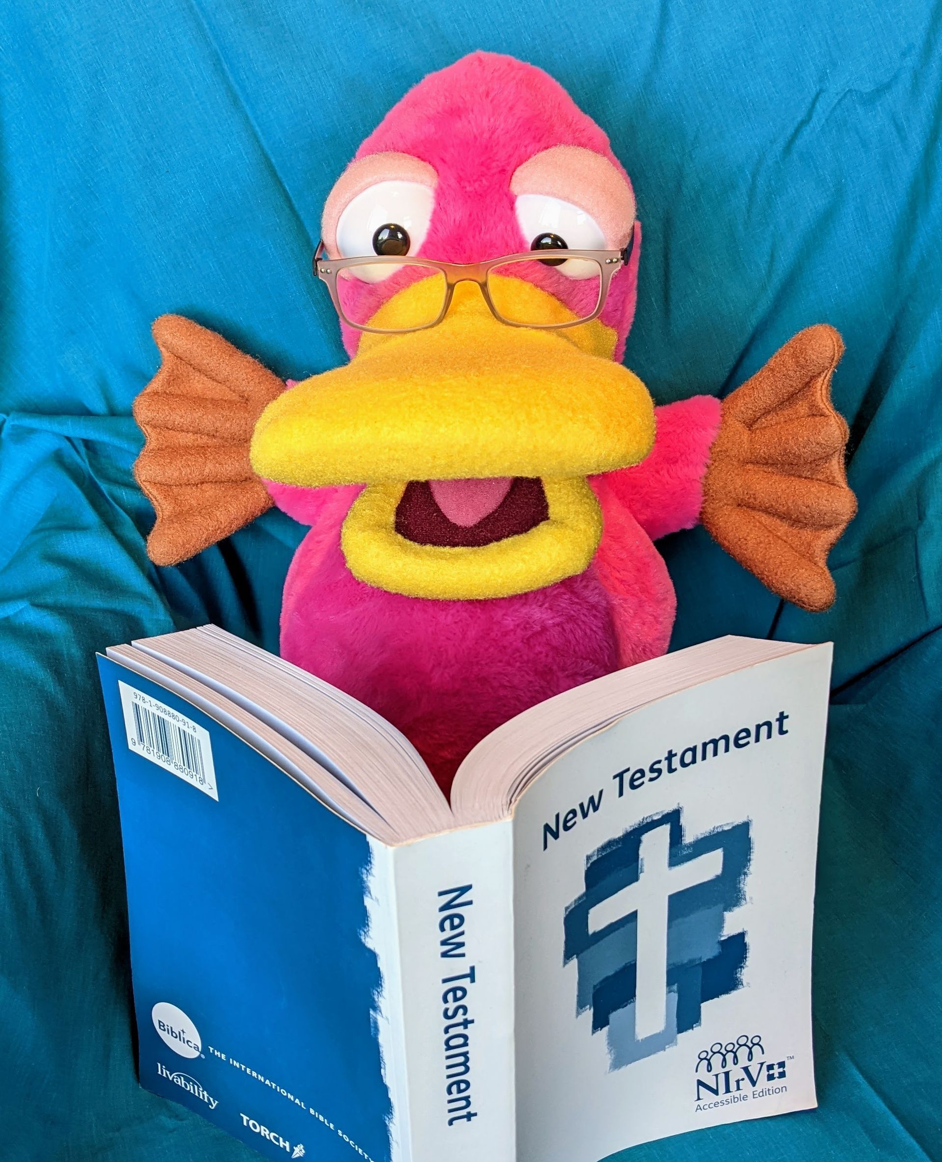 Theo the Pink platypus puppet. He has some glasses perched on his beak and is looking at an accessible bible.