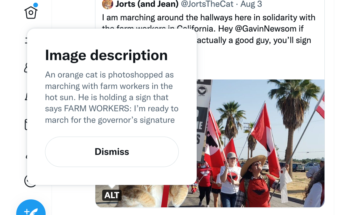 Example of Alt text on X (Twitter)