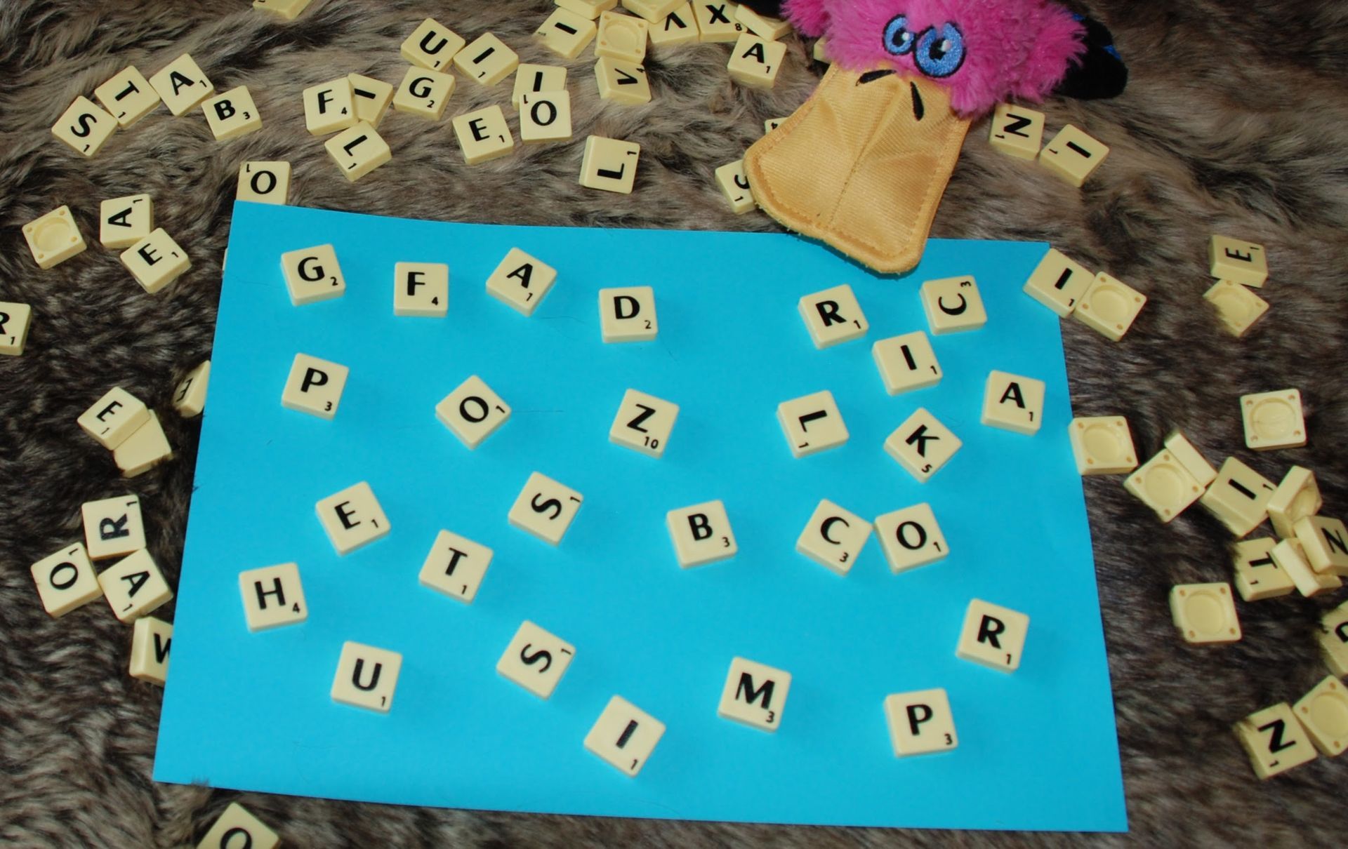 Scrabble letter randomly spread across a board. Anno the small pink platypus is looking at them.
