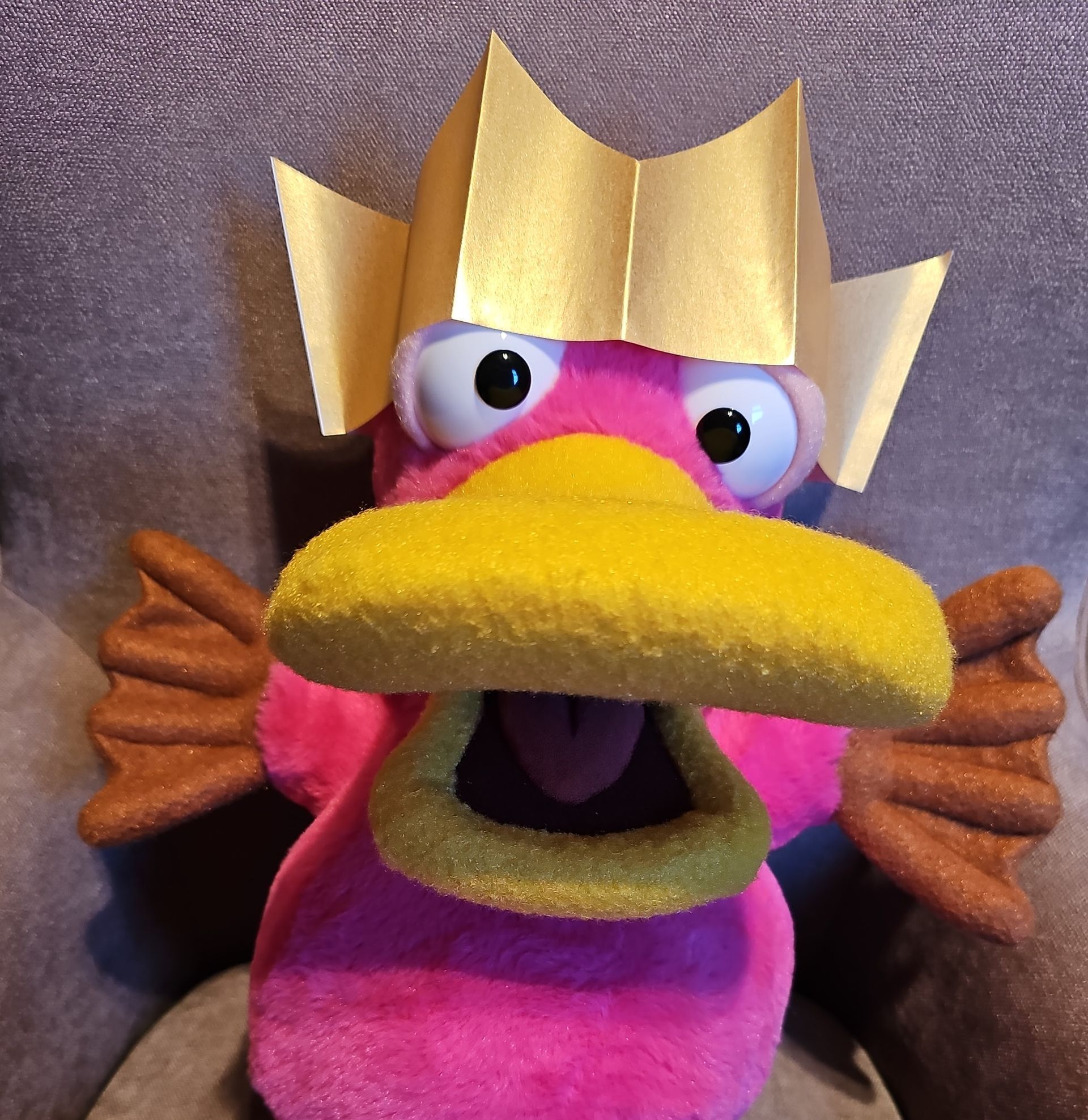 Theo the pink platypus puppet wearing a gold paper crown.