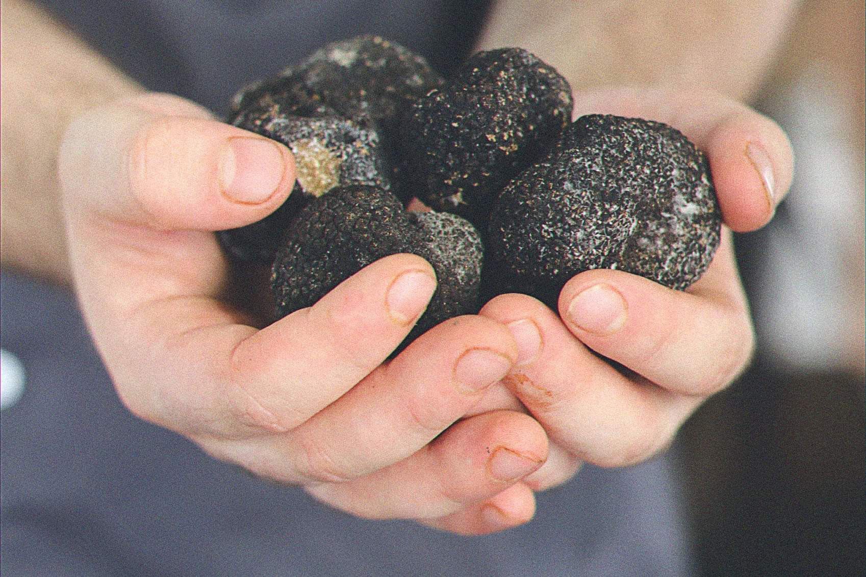 Lyna-Ristorante-italien-Truffes-noir.jpg