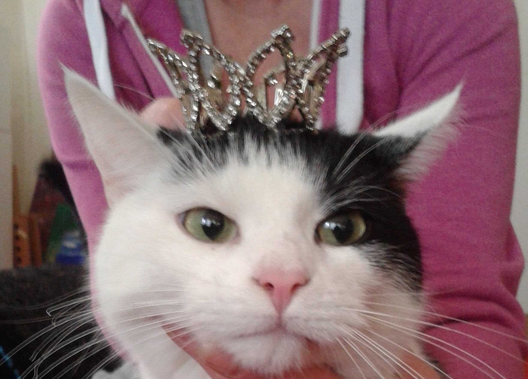 Karlchen, der Prinz des Reitlingtales :-)