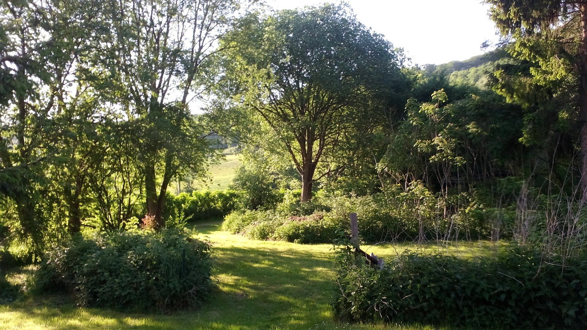 Nur 50 m bis zum gemütlichen Elmcafe