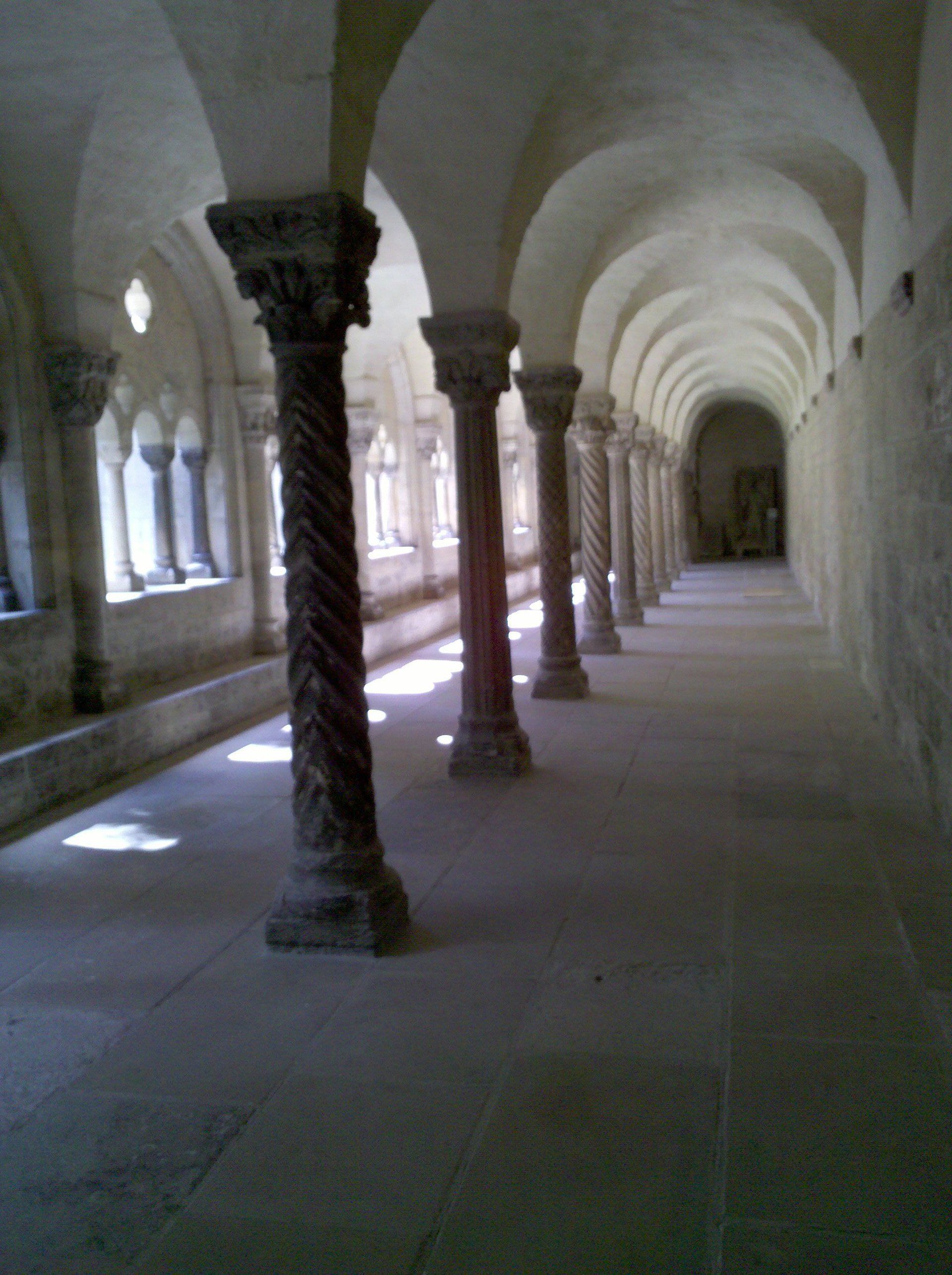 Baum im Destedter Schlosspark Baum im Destedter Schlosspark