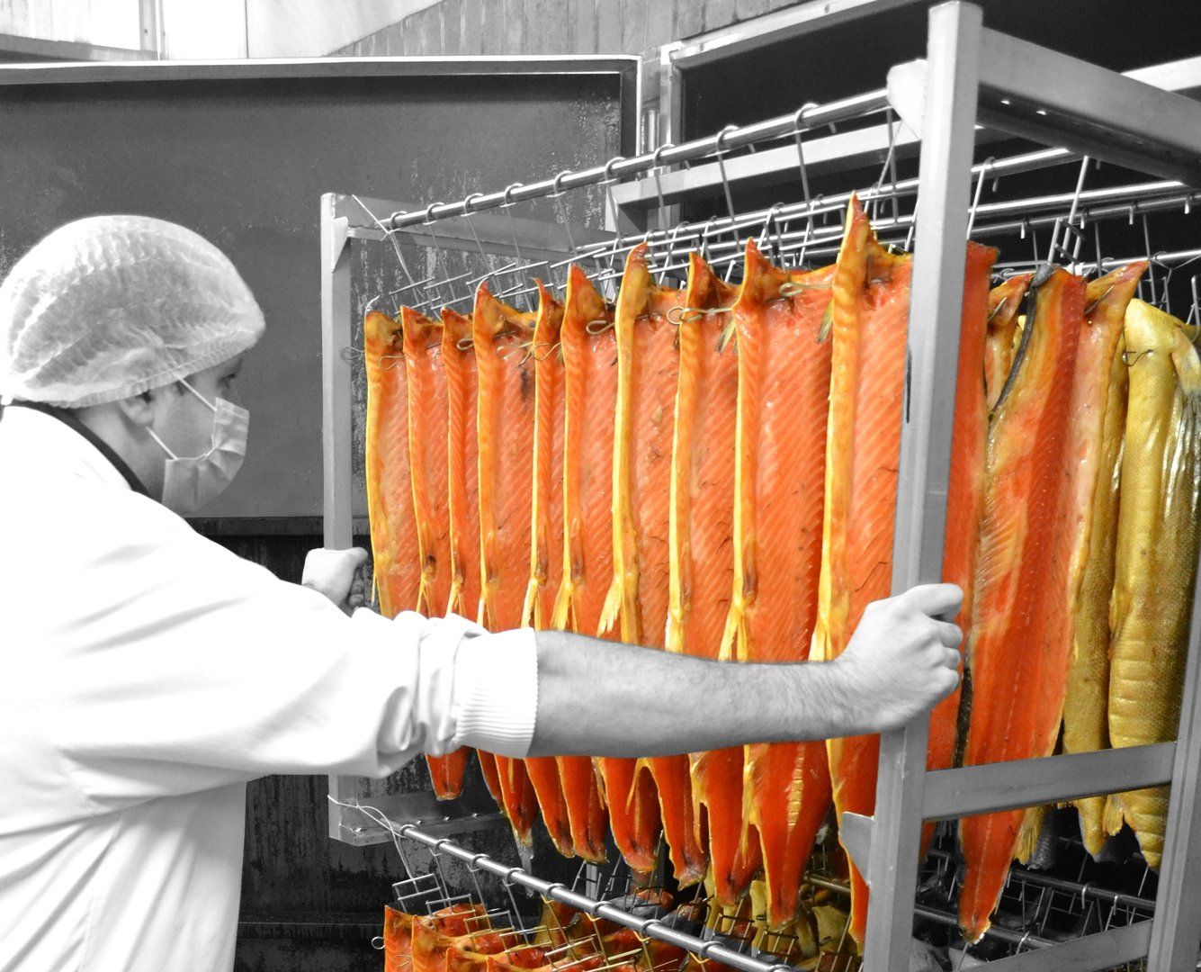 Pour un moelleux et un fumage exceptionnel... Les filets sont fumés à la BRIDE au bois de Hêtre. Cette méthode de fabrication ancestrale consiste à fumer le saumon verticalement, suspendu par la Bride