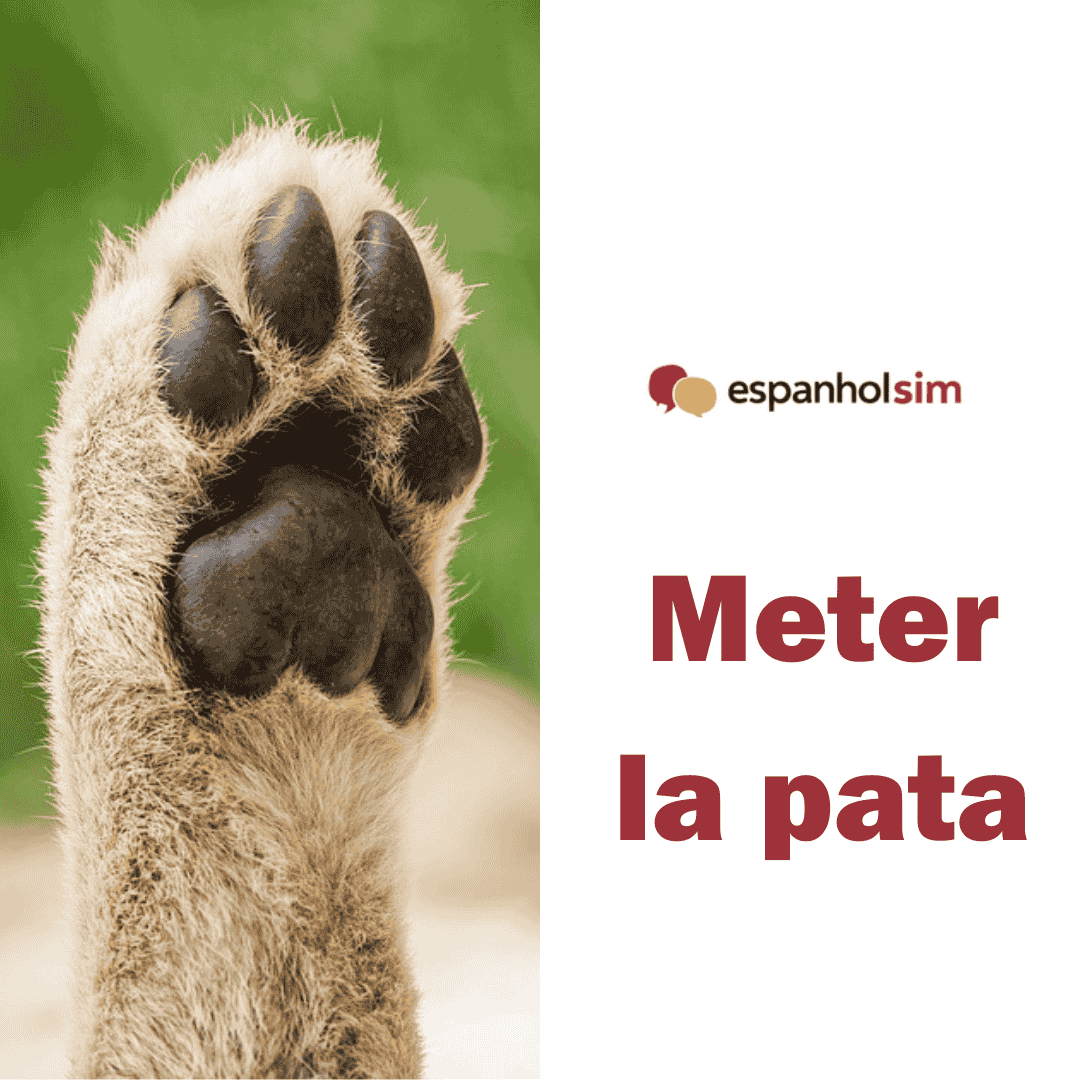 Expresiones idiomáticas - Meter la pata - Aprende español con EspanholSim