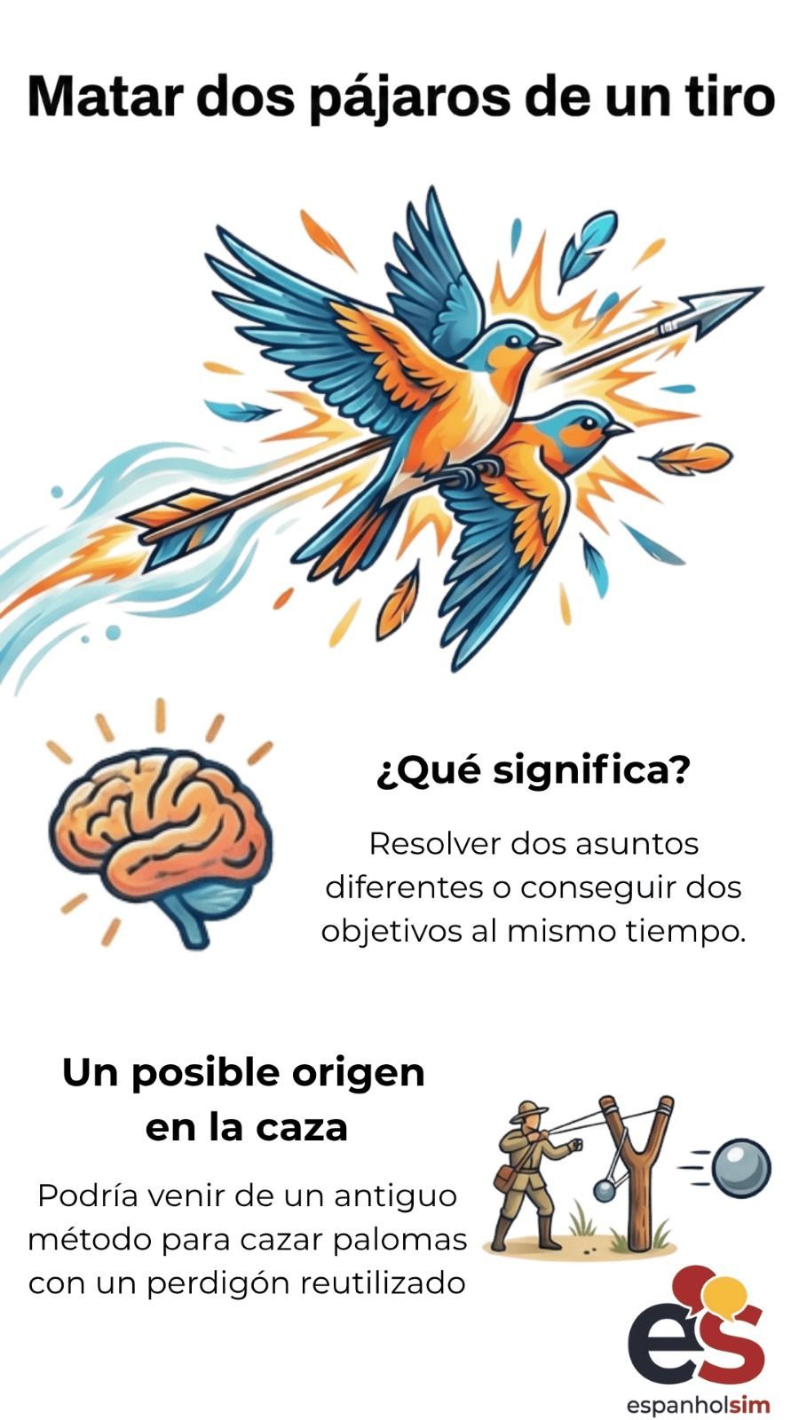 Infografía sobre el significado de la expresión «matar dos pájaros de un tiro», con definición y origen