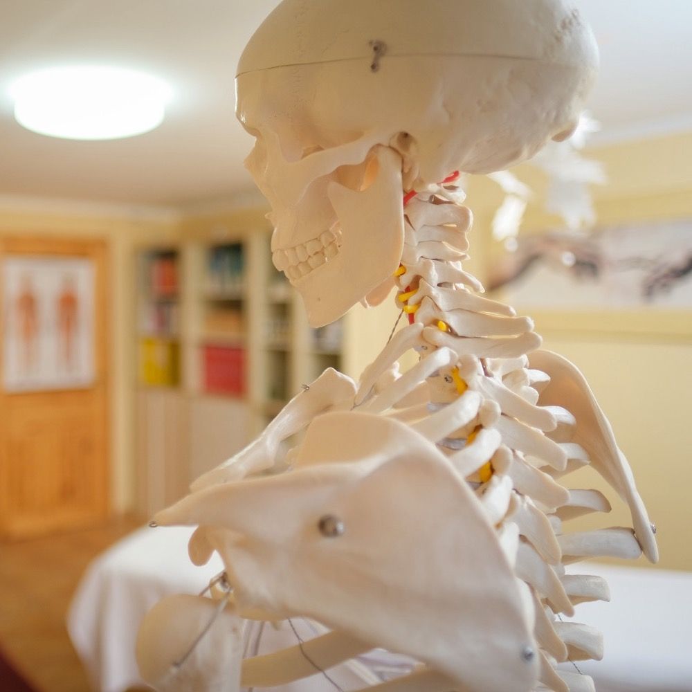 Praxis für Osteopathie in Weimar Fotografie: Trevor Johnson