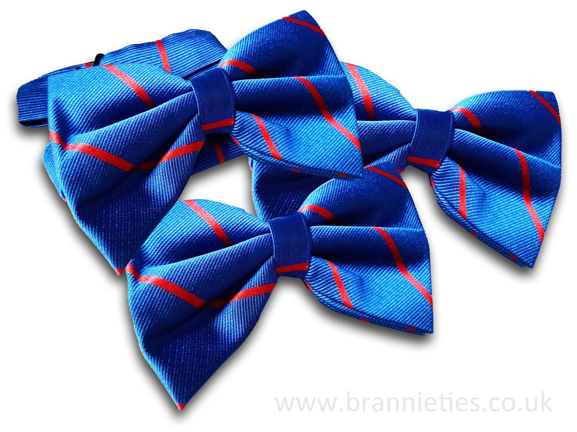university bowties