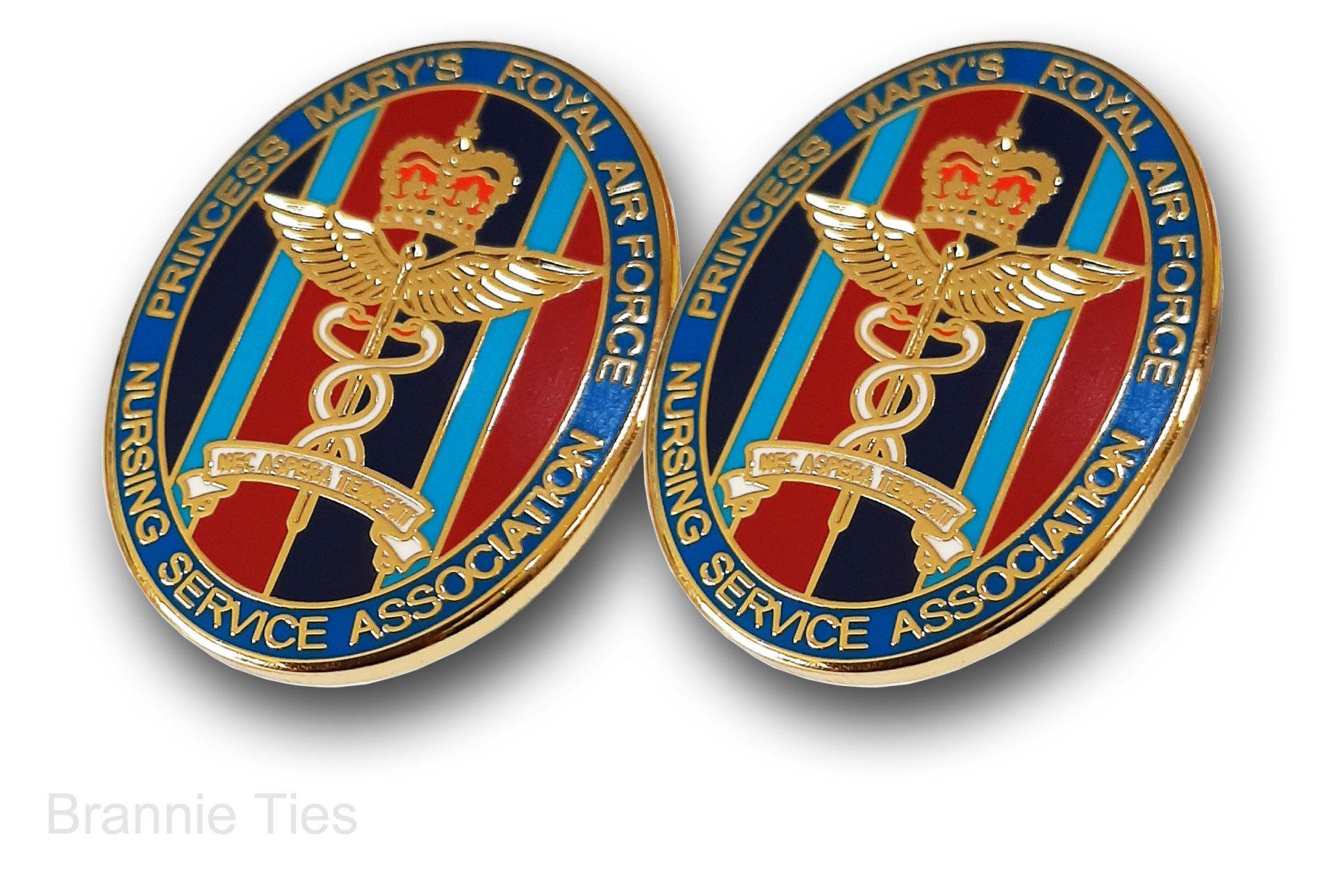 Nursing servcie pin badges
