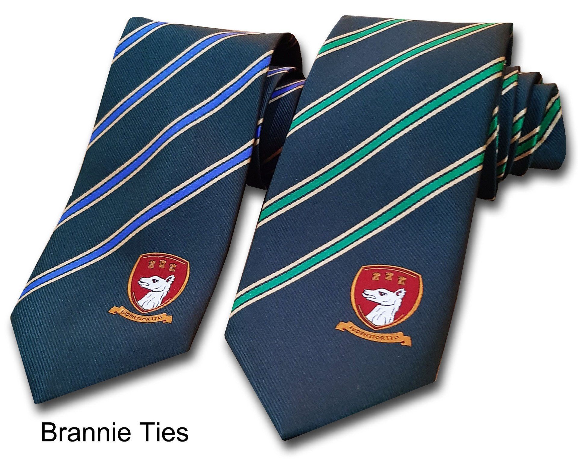 school ties with colour changes
