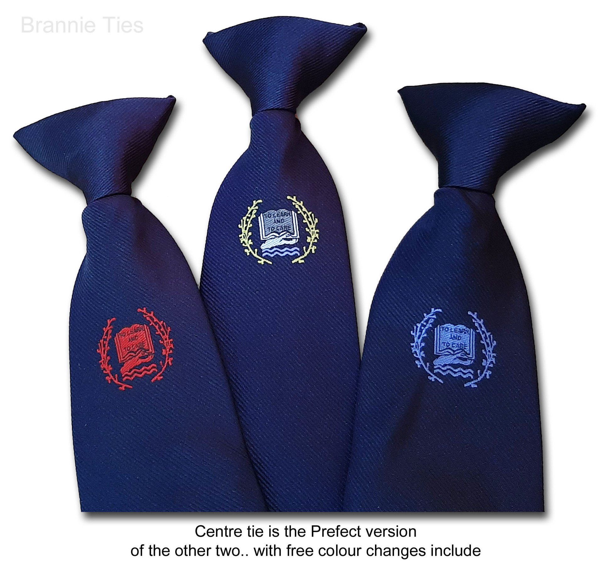 SCHOOL CLIPON TIES