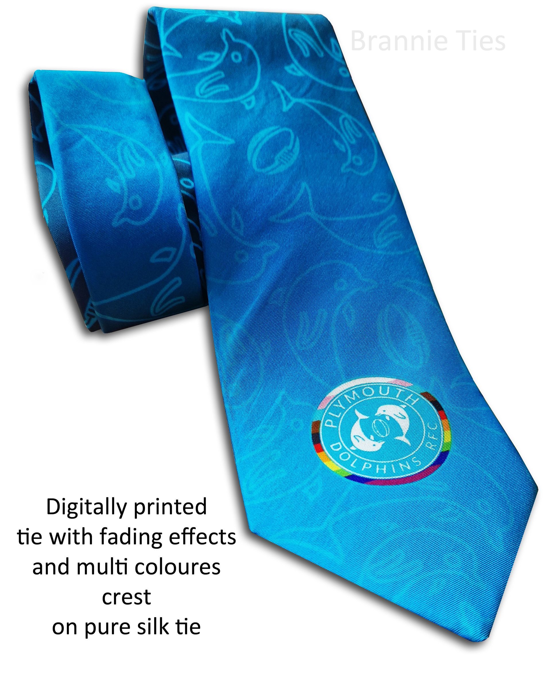 uni of Plymouth ties