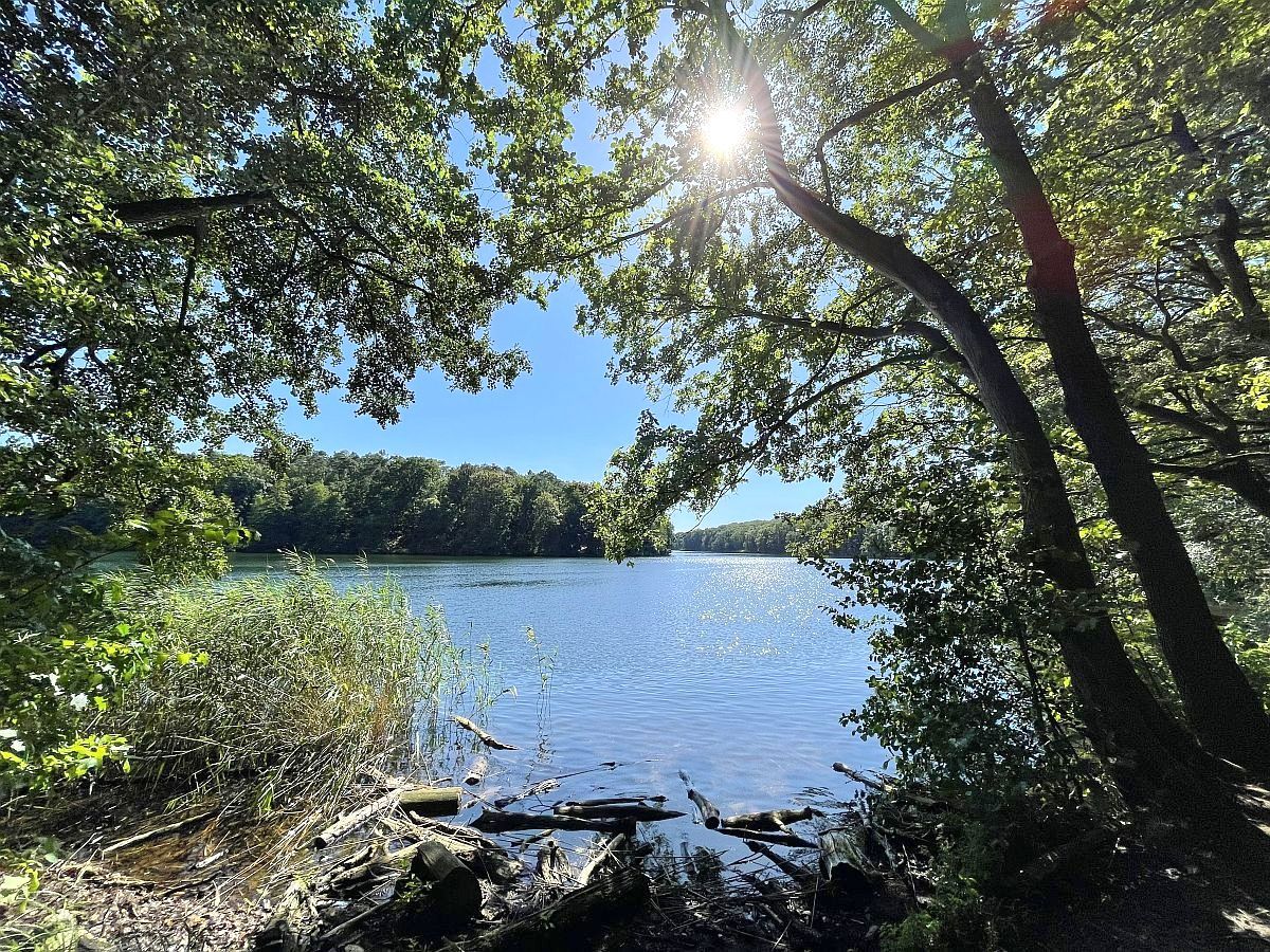 Quartier am Burgwall Quartier am Burgwall