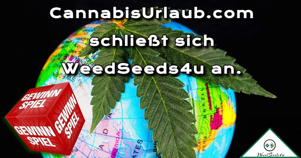 THC-haltiges Gel zur lokalen Schmerztherapie