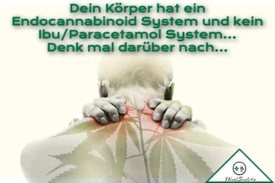 Kompakte THC-Kapseln zur täglichen Einnahme – Weedseeds4u