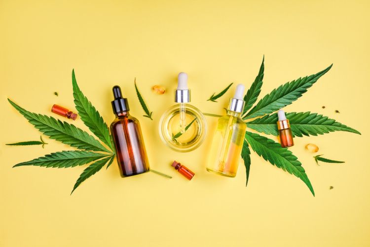Cannabis Blatt auf Cannabis Blute