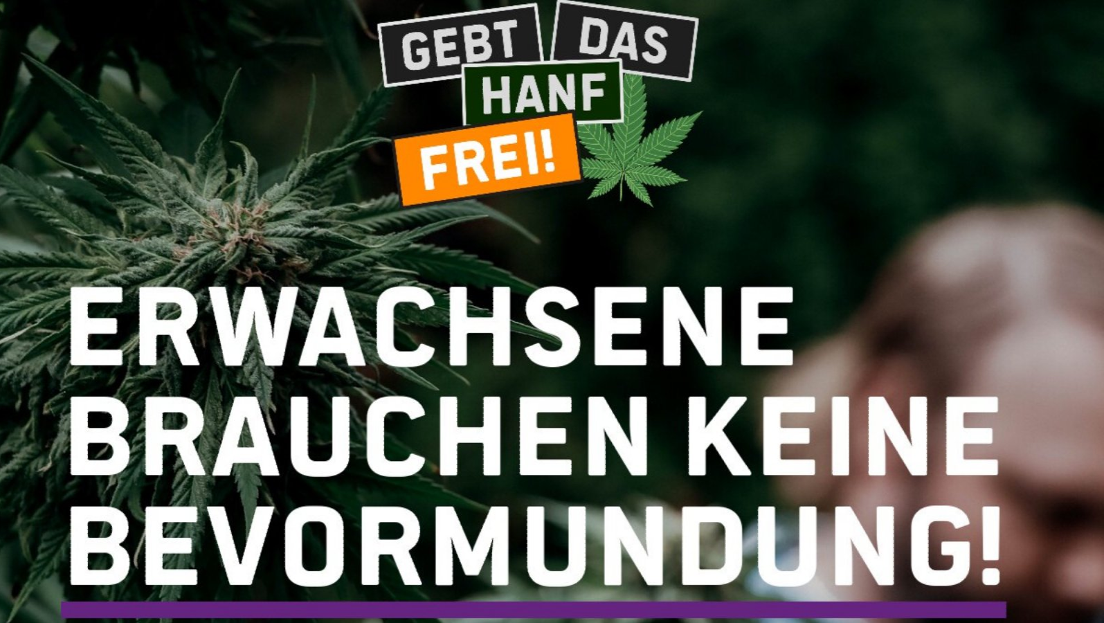 Das Bild zeigt eine Gruppe von Menschen bei einer Kundgebung zur Legalisierung von medizinischem Cannabis. Sie halten Plakate mit Slogans wie