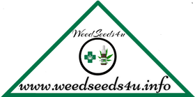 logo weedseeds4u