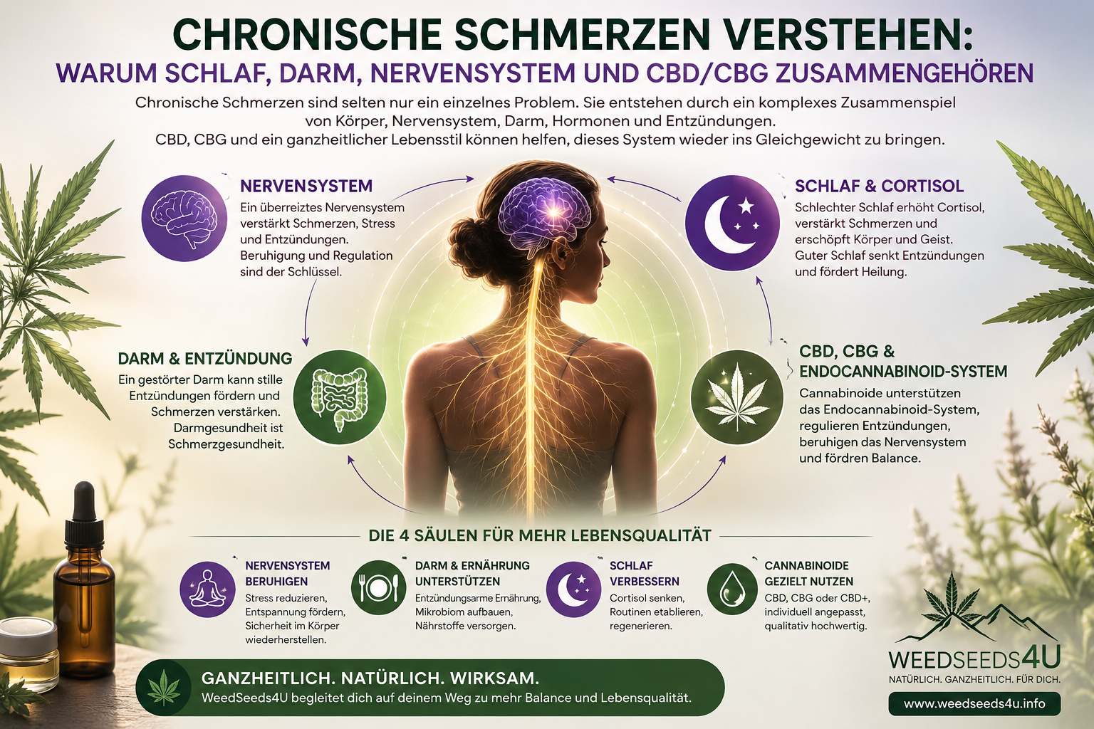 Infografik von WeedSeeds4U über chronische Schmerzen und das Zusammenspiel von Schlaf, Darm